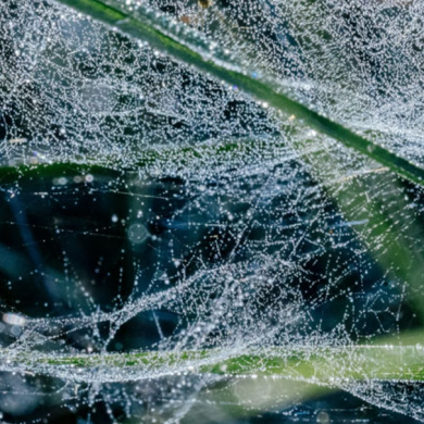 Screenshot 2024-10-25 152137