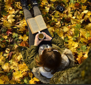 Screenshot 2025-10-26 104745